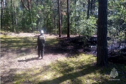 Лесной пожар в  Перемышльском районе в 1 км от н.п. Корекозево
